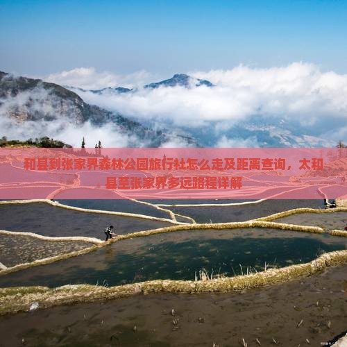 和县到张家界森林公园旅行社怎么走及距离查询，太和县至张家界多远路程详解