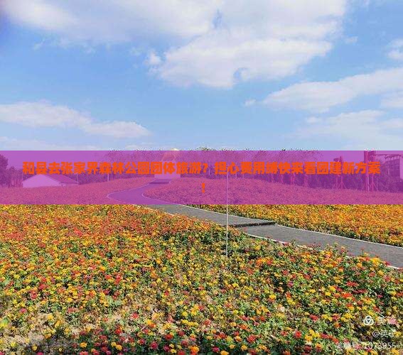 和县去张家界森林公园团体旅游？担心费用缚快来看团建新方案！