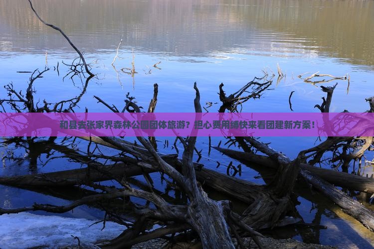 和县去张家界森林公园团体旅游？担心费用缚快来看团建新方案！
