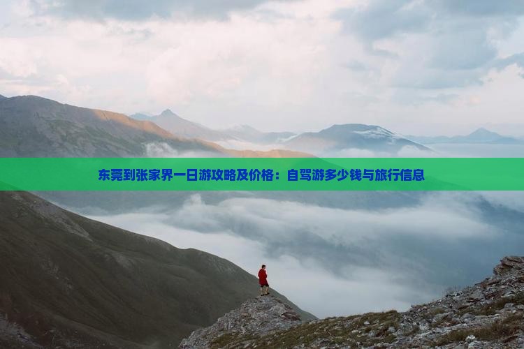 东莞到张家界一日游攻略及价格：自驾游多少钱与旅行信息