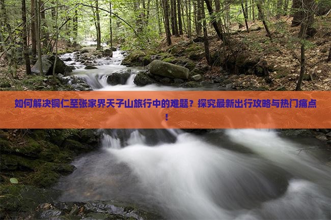 如何解决铜仁至张家界天子山旅行中的难题？探究最新出行攻略与热门痛点！