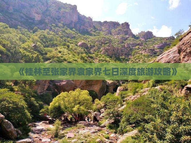 《桂林至张家界袁家界七日深度旅游攻略》