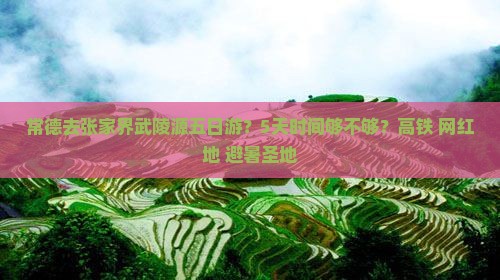 常德去张家界武陵源五日游？5天时间够不够？高铁+网红地+避暑圣地