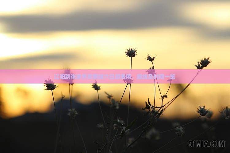 辽阳到张家界芙蓉镇六日游费用、路线及时间一览