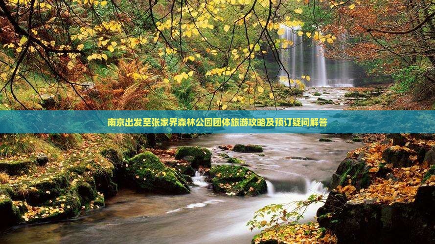 南京出发至张家界森林公园团体旅游攻略及预订疑问解答