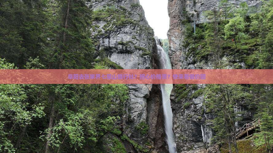 阜阳去张家界七星山旅行社？担心价格贵？快来看低价团