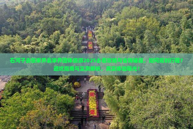 石河子去张家界袁家界团体旅游