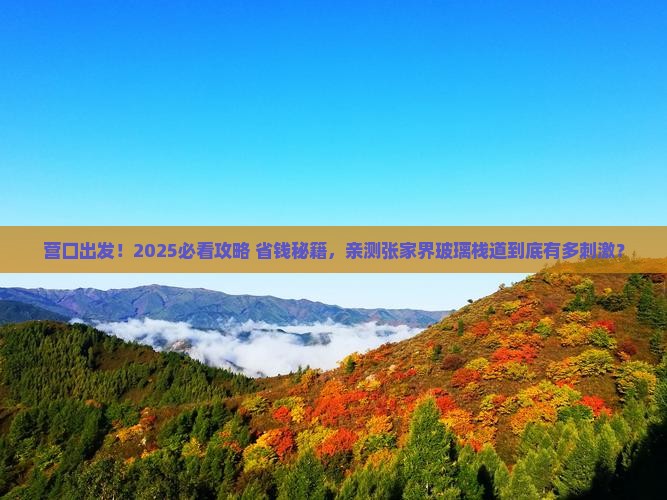 营口去张家界玻璃栈道团体旅游