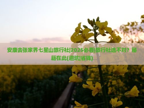 安康去张家界七星山旅行社