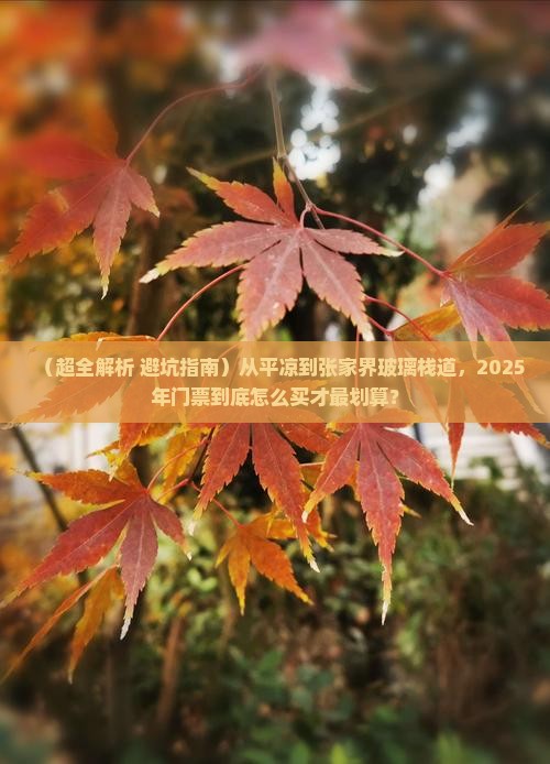 平凉去张家界玻璃栈道门票