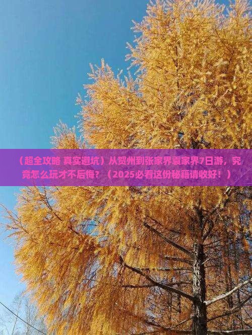 贺州去张家界袁家界七日游