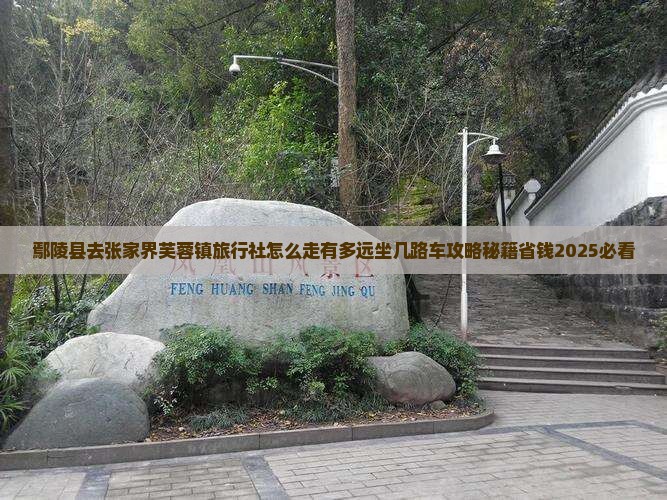 鄢陵县去张家界芙蓉镇旅行社
