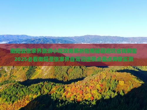 衡阳去张家界旅游小吃