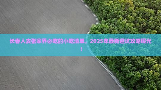 长春去张家界旅游小吃