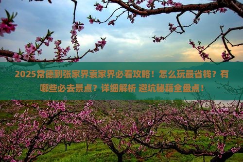 常德到张家界袁家界哪里玩