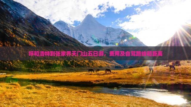 呼和浩特到张家界天门山五日游