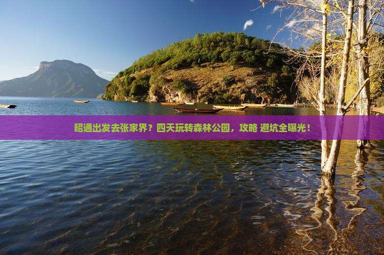 昭通到张家界森林公园四日游