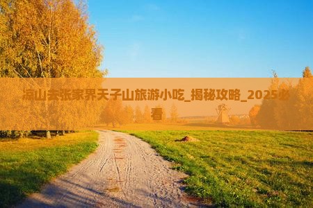 凉山去张家界天子山旅游小吃