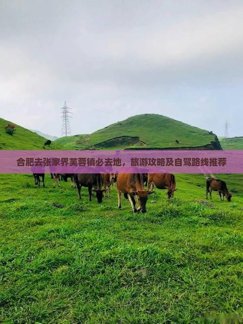合肥去张家界芙蓉镇必去地