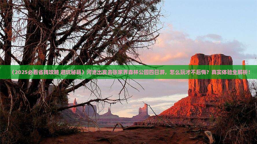 河池去张家界森林公园四日游