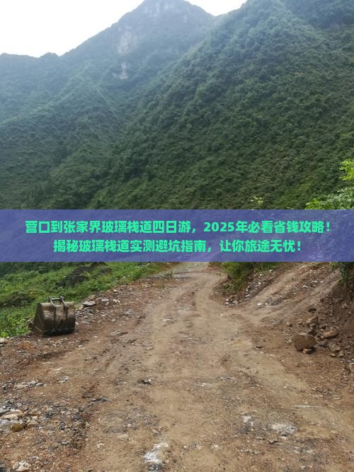 营口到张家界玻璃栈道四日游