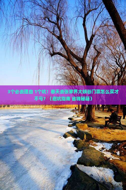 春天去张家界大峡谷门票