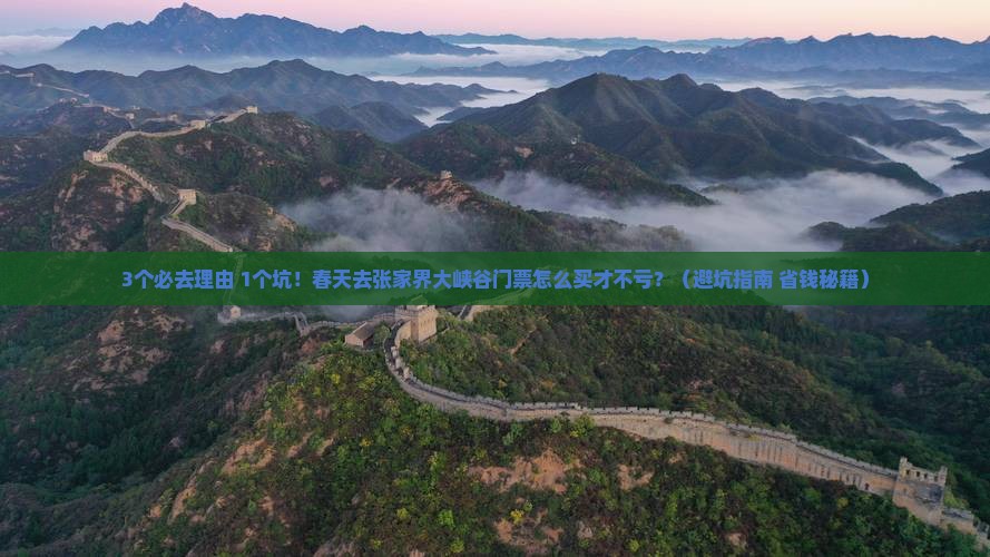 春天去张家界大峡谷门票