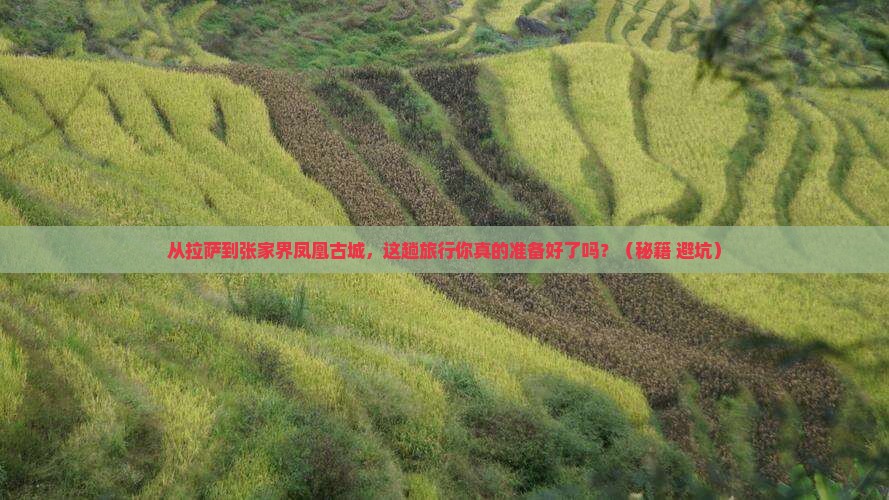 拉萨去张家界凤凰古城大型旅游团