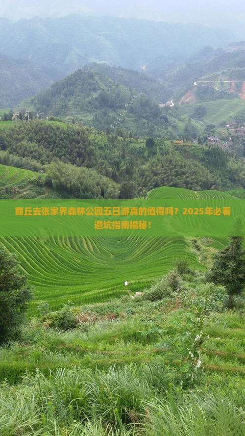 商丘去张家界森林公园五日游