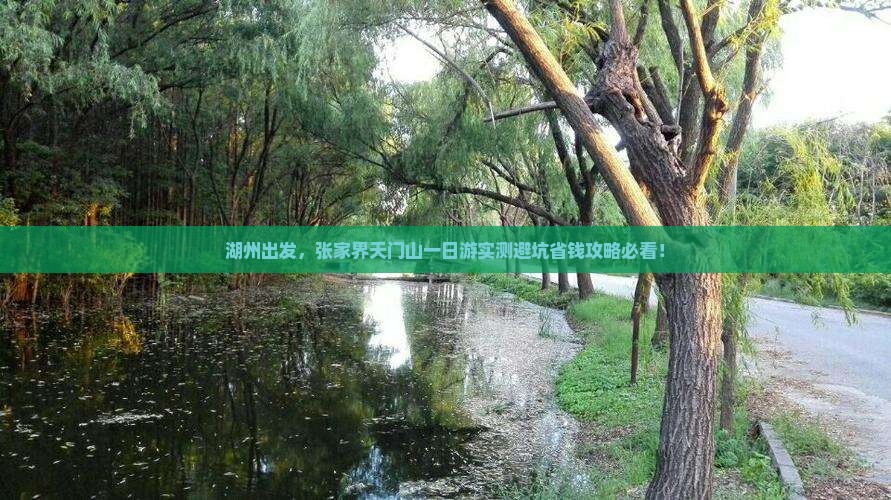 湖州到张家界天门山一日