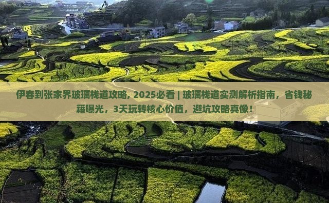 伊春到张家界玻璃栈道攻略