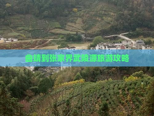 曲靖到张家界武陵源攻略