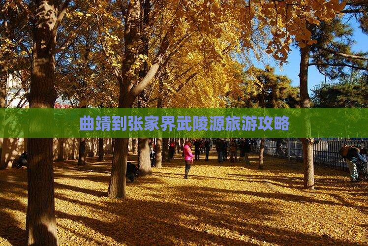 曲靖到张家界武陵源攻略