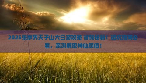 二月到张家界天子山六日游
