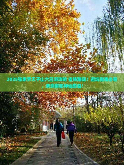 二月到张家界天子山六日游