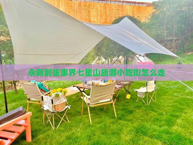 永新到张家界七星山旅游小吃