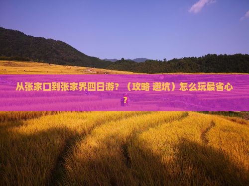 张家口到张家界四日游