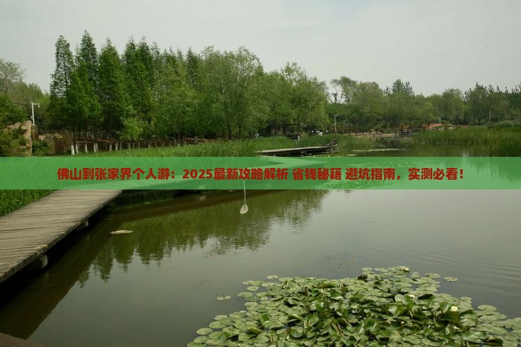 佛山到张家界个人游