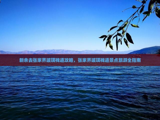 新余去张家界玻璃栈道门票