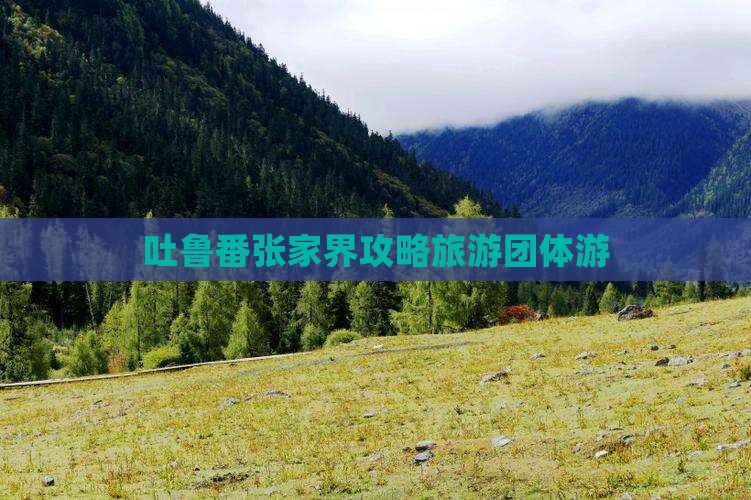 吐鲁番去张家界团体旅游