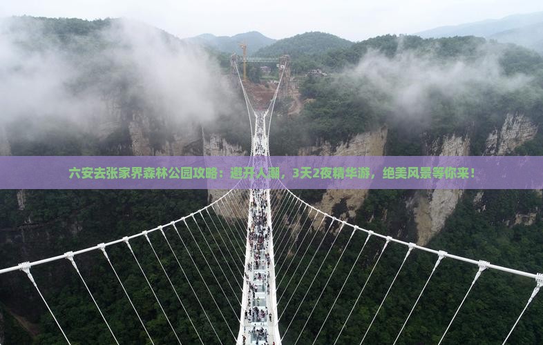 六安去张家界森林公园攻略