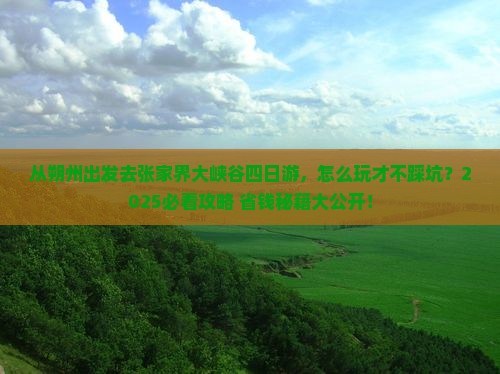 朔州去张家界大峡谷四日游
