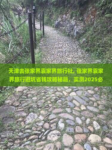 天津去张家界袁家界旅行社