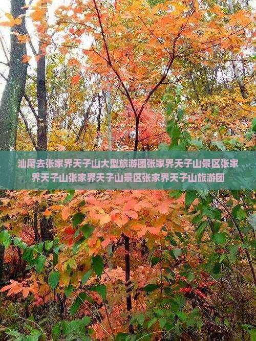 汕尾去张家界天子山大型旅游团