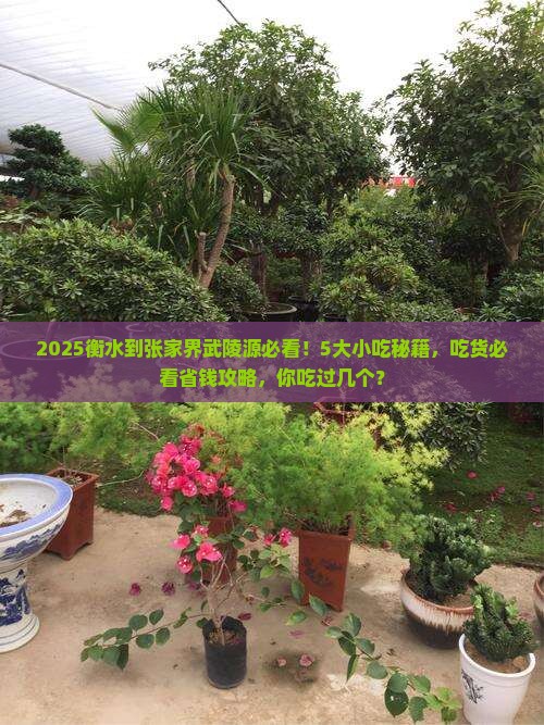 衡水到张家界武陵源旅游小吃