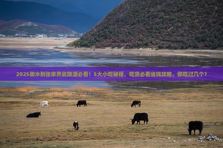 衡水到张家界武陵源旅游小吃