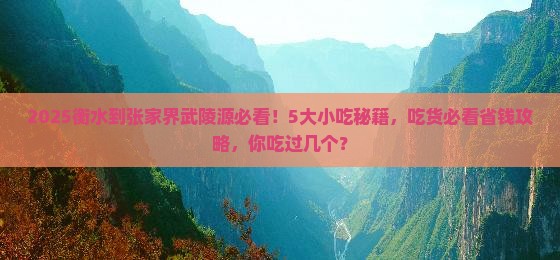 衡水到张家界武陵源旅游小吃