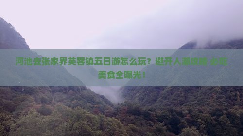 河池去张家界芙蓉镇五日游