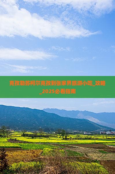 克孜勒苏柯尔克孜到张家界旅游小吃