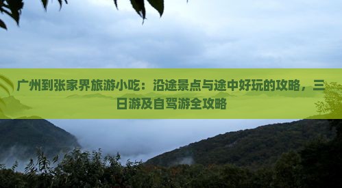 广州到张家界旅游小吃